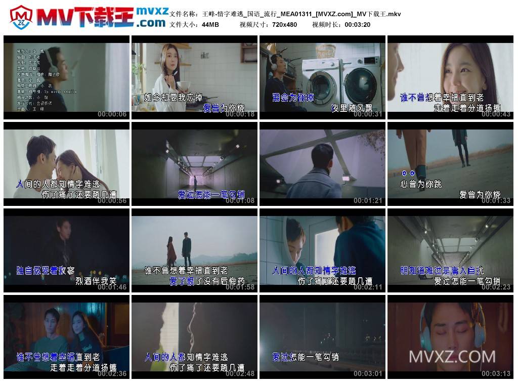 王峰-情字难逃_国语_流行_MEA01311